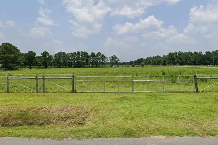 man-found-dead-in-a-wallaby-and-kangaroo-office-in-south-carolina